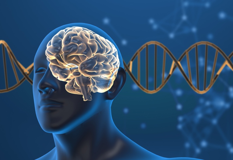 نقش ژنتیک در بروز اختلالات شخصیتی | آیا شخصیت ژنتیکی است؟