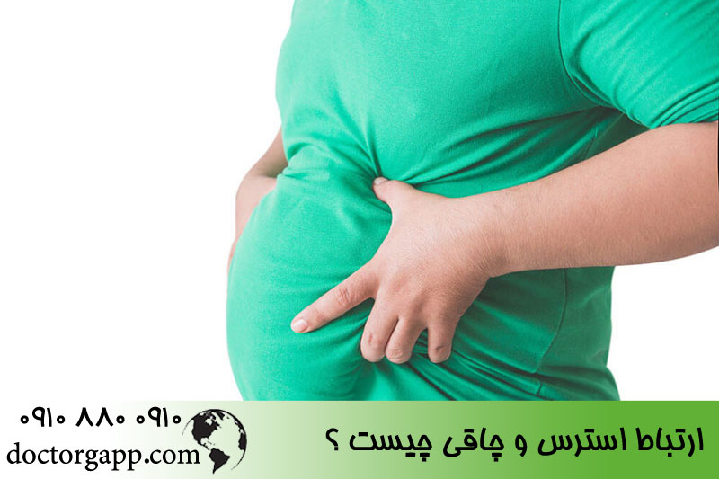 ارتباط استر و چاقی چیست